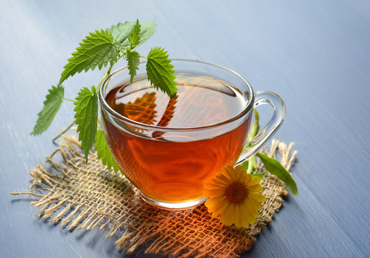 Uncovering the Healing Powers of Stinging Nettle Tea: A Wellness Guide